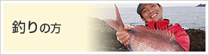釣りの方