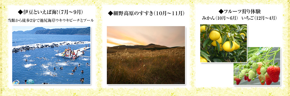 海や高原、フルーツ狩りなど自然を満喫できます
