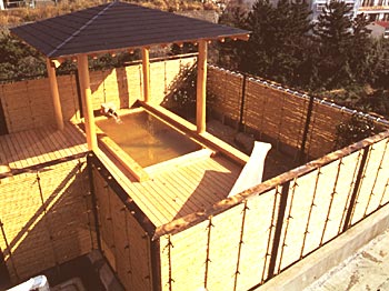 �ɓ���扷��u��v��/�I�V���C�S�i�v