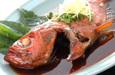 ���`���ڑ�̎ϕt��